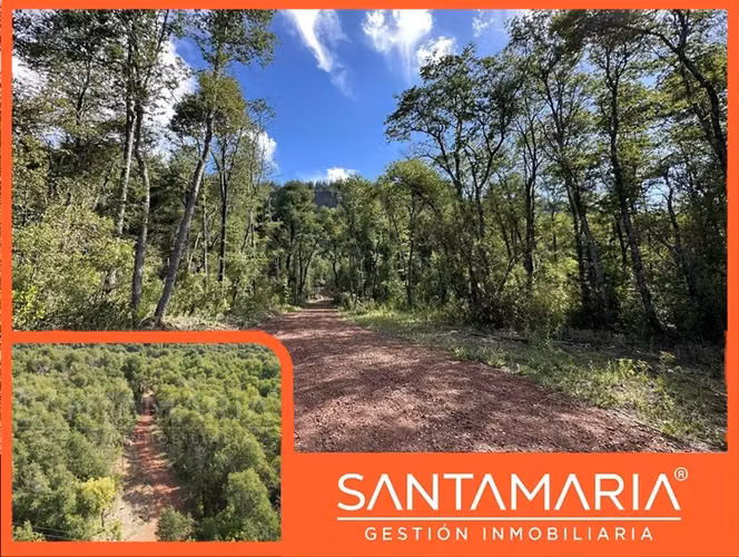 Terreno en venta en Pinto, camino a Las Trancas
