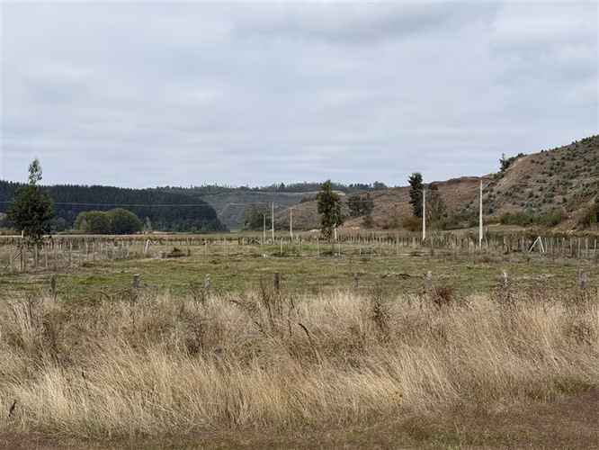 Parcela con Casa en venta en Arauco