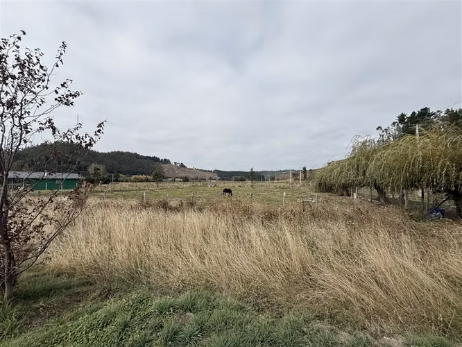 Parcela con Casa en venta en Arauco