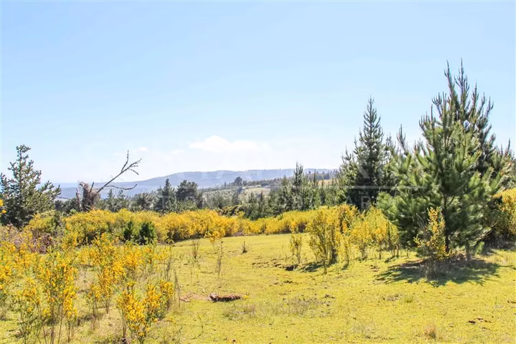 VENTA Parcela Cobquecura