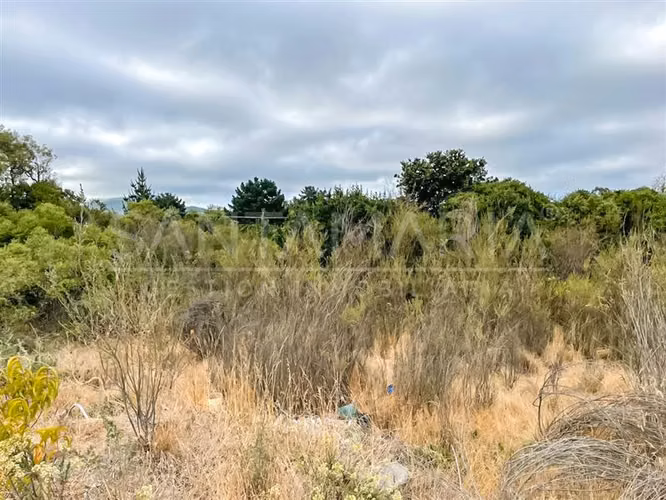 Terreno Construccion en venta en Coronel