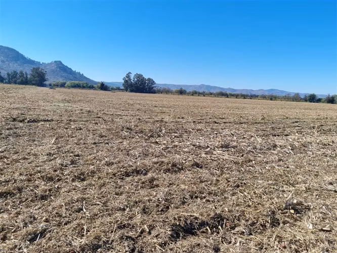 Agrícola en venta en Hualañe