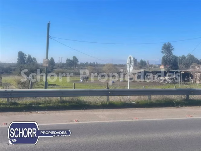 Sitio en venta en Maule - Imagen 5