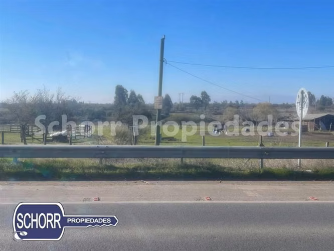 Parcela en venta en Maule - Imagen 6