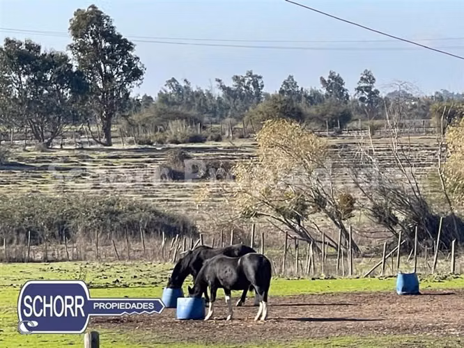 Parcela en venta en Maule - Imagen 8
