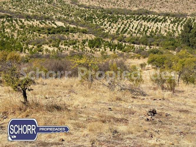 Parcela vendo, 5.400 m2, Lomas de Rauquen, Pencahue - Imagen 9