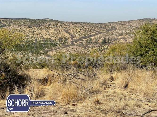 Parcela vendo, 5.400 m2, Lomas de Rauquen, Pencahue - Imagen 14