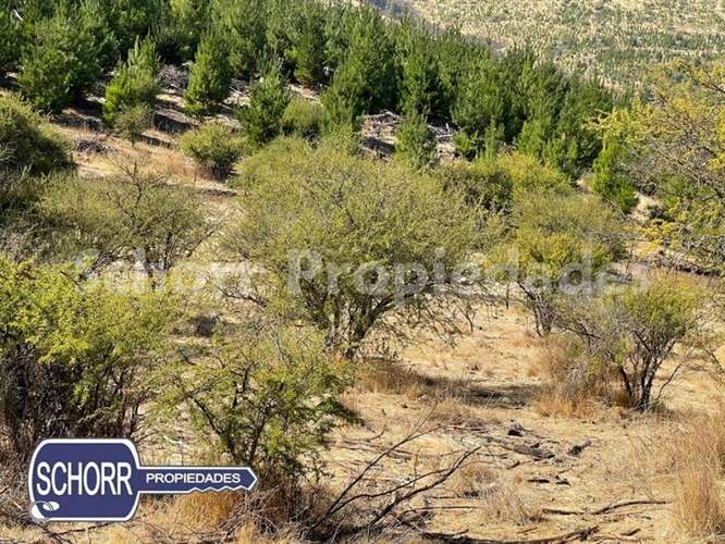 Parcela vendo, 5.400 m2, Lomas de Rauquen, Pencahue - Imagen 6