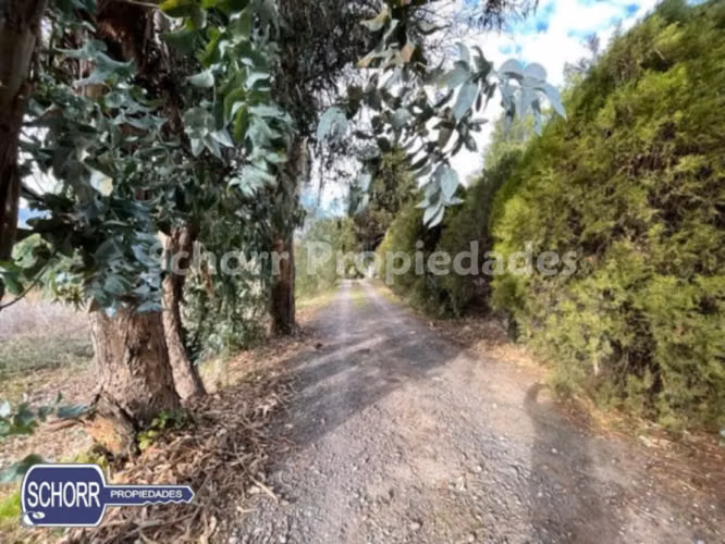 Casa en venta de 4 dorm. en Colbún