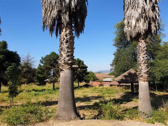 Local Comercial en venta en San Clemente