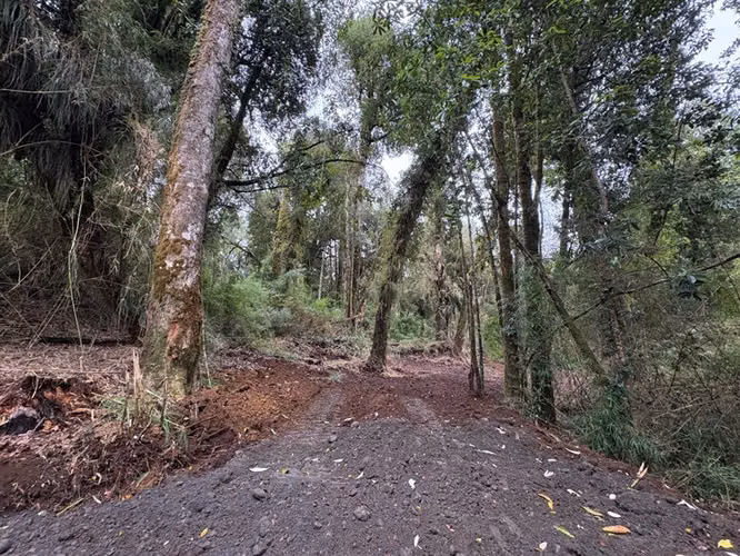 Parcela en venta en Chonchi
