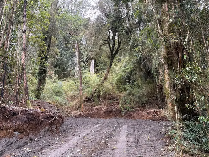 Parcela en venta en Chonchi