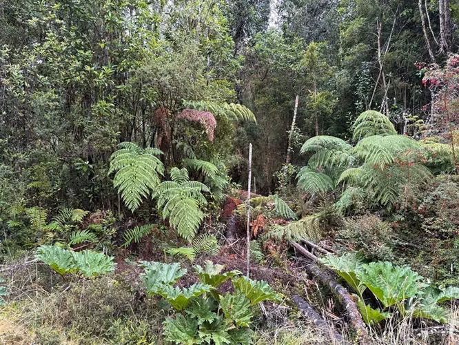 Parcela en venta en Chonchi