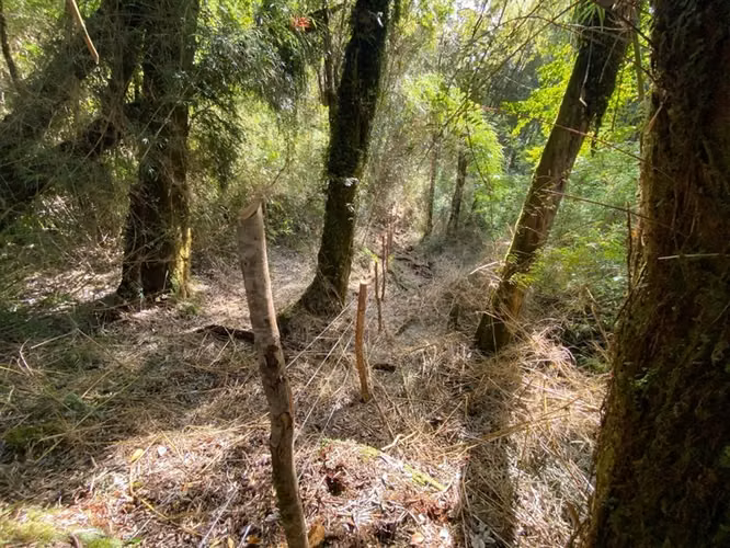 Parcela en venta en Chonchi