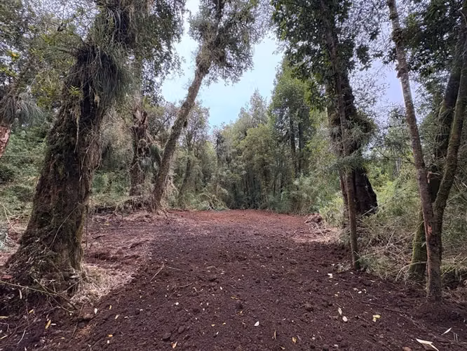 Parcela en venta en Chonchi