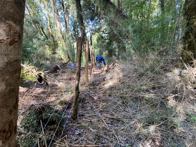 Parcela en venta en Chonchi