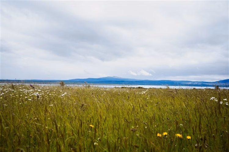 Sitio de 33.269 M2 en venta en Puerto Bories en Natales