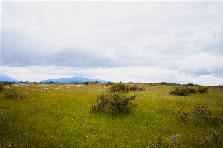 Sitio de 33.269 M2 en venta en Puerto Bories en Natales