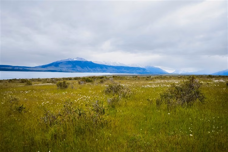 Sitio de 33.269 M2 en venta en Puerto Bories en Natales