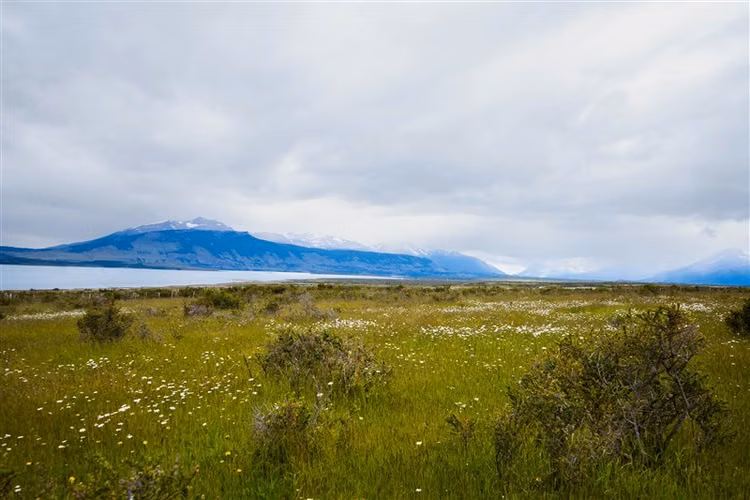 Sitio de 33.269 M2 en venta en Puerto Bories en Natales
