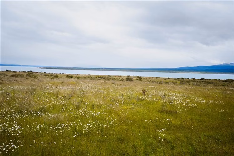 Sitio de 33.269 M2 en venta en Puerto Bories en Natales