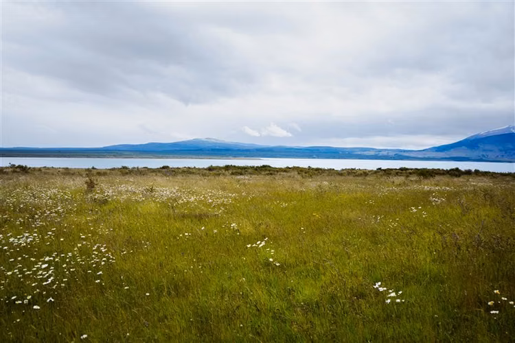 Sitio de 33.269 M2 en venta en Puerto Bories en Natales
