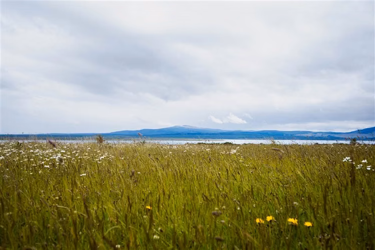 Sitio de 33.269 M2 en venta en Puerto Bories en Natales