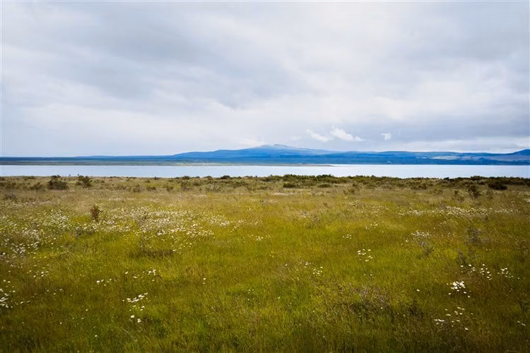Sitio de 33.269 M2 en venta en Puerto Bories en Natales