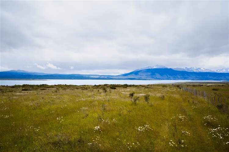 Sitio de 33.269 M2 en venta en Puerto Bories en Natales