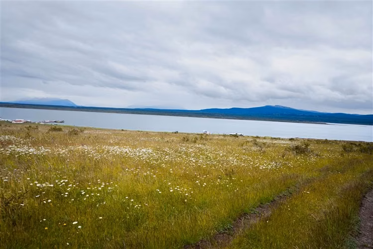 Sitio de 33.269 M2 en venta en Puerto Bories en Natales