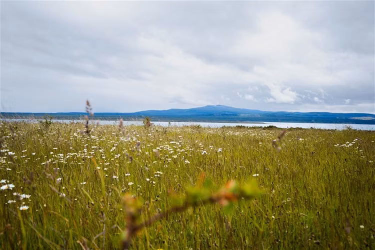 Sitio de 33.269 M2 en venta en Puerto Bories en Natales
