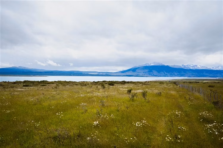Sitio de 33.269 M2 en venta en Puerto Bories en Natales