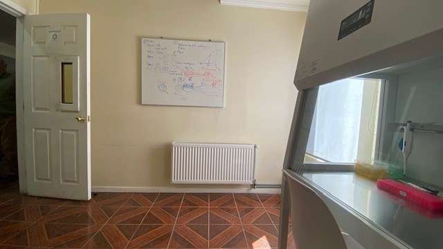 Espaciosa oficina central en 2do piso en arriendo en Natales