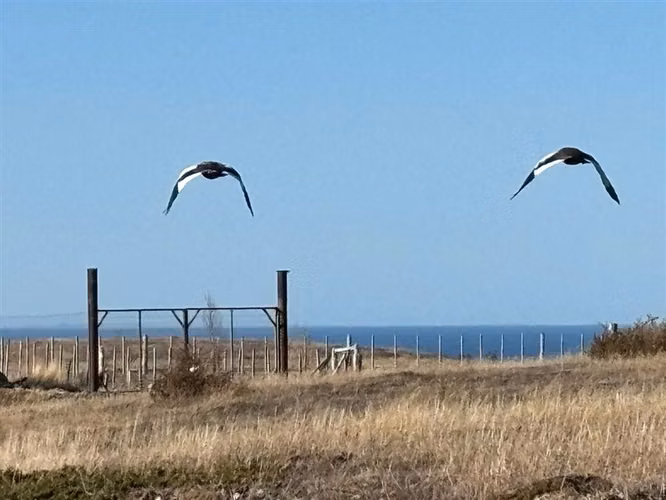 Sitio en venta en Punta Arenas