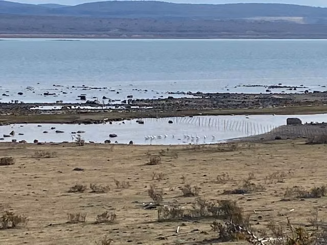 Sitio en venta de 25.000 m2 en Pto. Bories en Natales