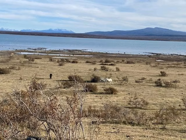 Sitio en venta de 25.000 m2 en Pto. Bories en Natales