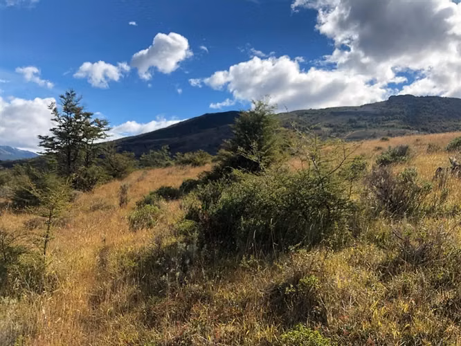 Se vende hermoso sitio en Laguna sofia de 13.774 M2