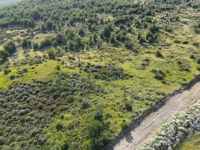 Sitio en venta en Natales de 5000 m2 en Dorotea