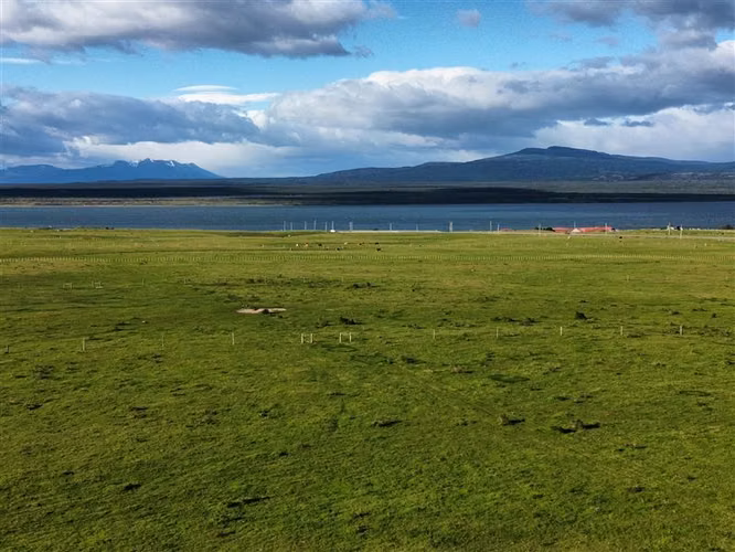 Se venden sitios en Natales ruta Y-315 y cm. 6 de 1 hectárea - Imagen 17
