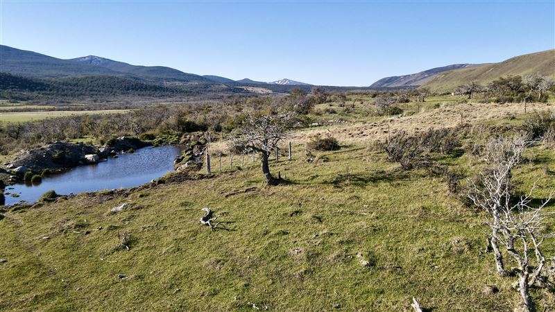 Sitio en Venta en Natales - Imagen 15
