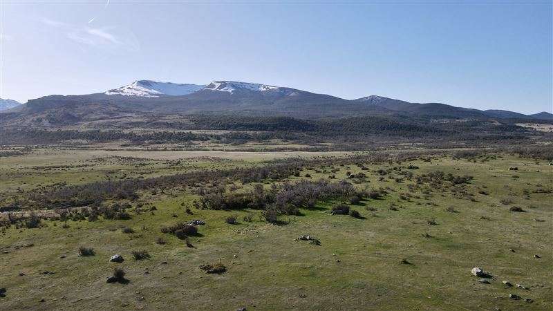 Sitio en Venta en Natales - Imagen 4