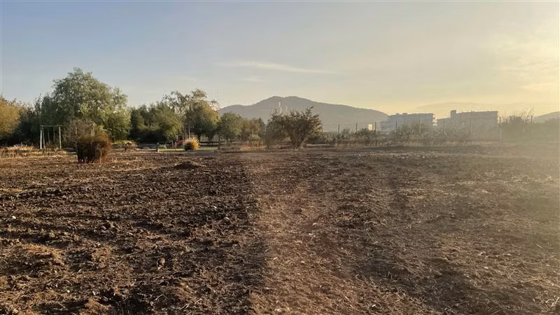 TERRENO de 5.090 m2 en HACIENDA CHICUREO