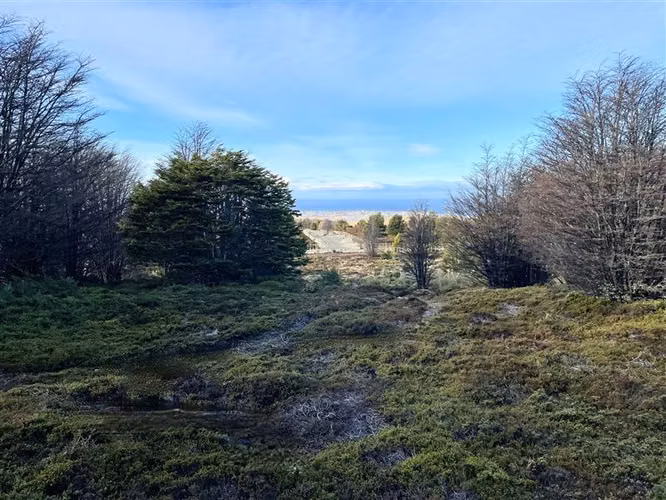 Sitio en venta en Punta Arenas