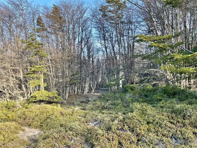 Sitio en venta en Punta Arenas