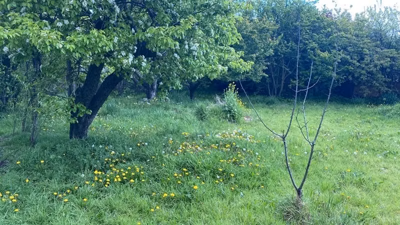 Sitio en venta en Coihaique