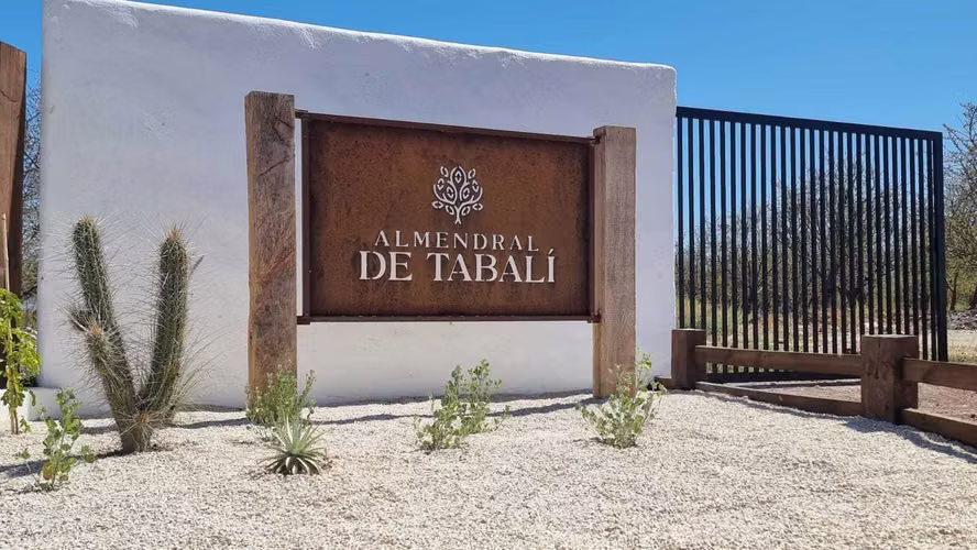 Oportunidad! Inversión a 10 minutos de Ovalle (152889) - Imagen 4