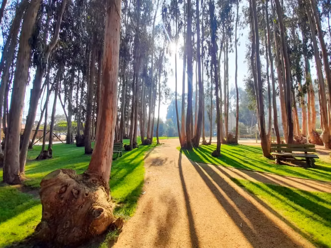 Hermoso departamento 3d, 2b, 1e, 1bd. Algarrobo - Imagen 14