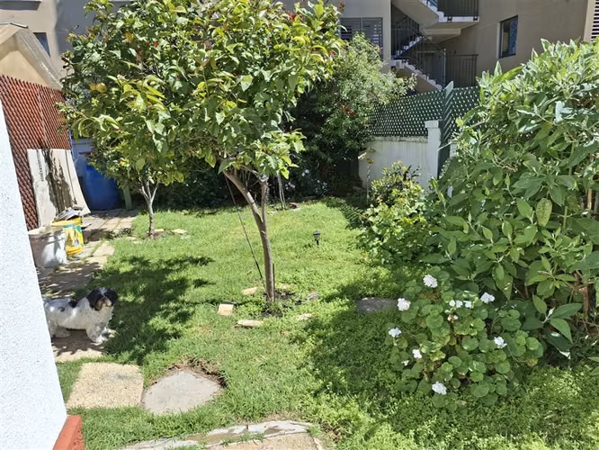 Casa venta agua santa 4 dorm gran terreno Viña del Mar