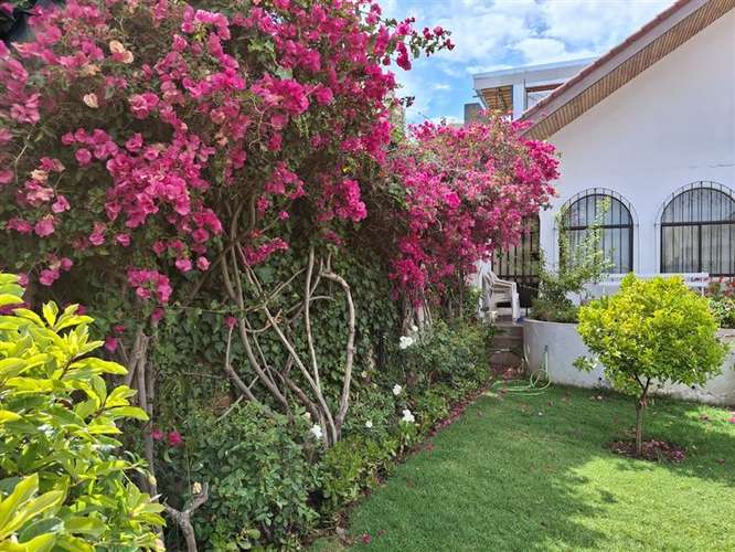 Casa en venta de 3 dorm. en Viña del Mar - Imagen 11