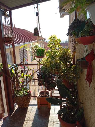 Confort y Estilo en Cada Rincón del Hogar (153065) - Imagen 24